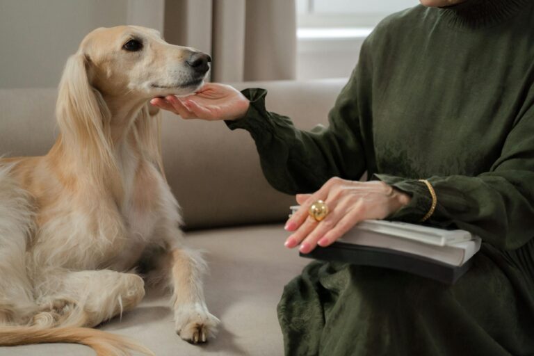 Elegant woman petting a Greyhound dog while reading at home, exuding comfort and intimacy.